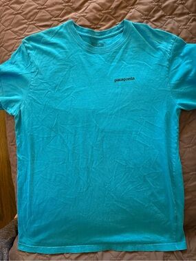 Patagonia Men’s Short-Sleeve Tee - Aqua Blue
